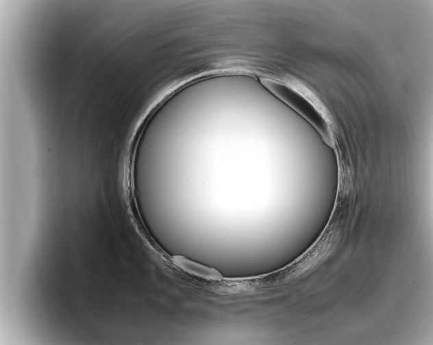 X0000096671101200802051005