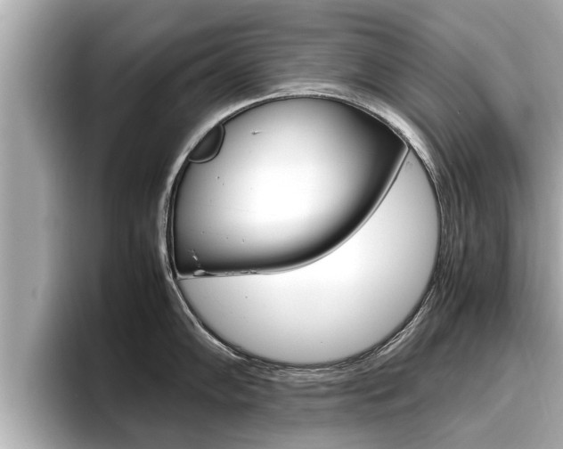 X0000096671102200802051005