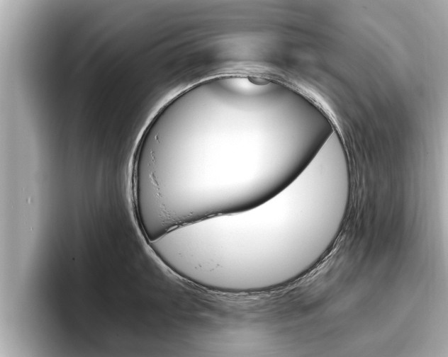 X0000096671103200802051005