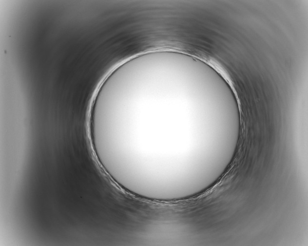 X0000096671104200802051005
