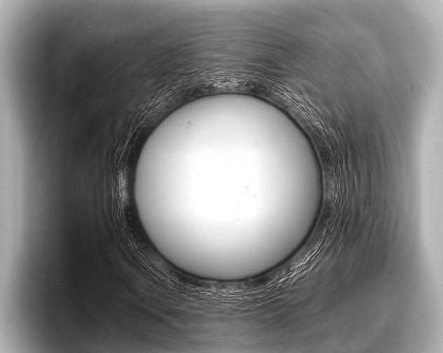 X0000096671106200802051004