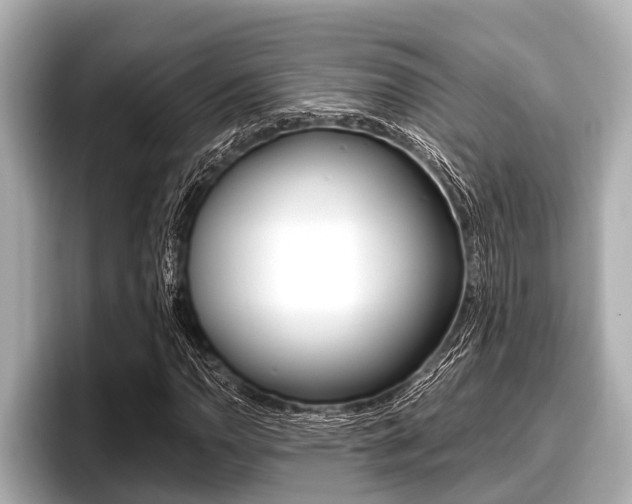 X0000096671110200802051004