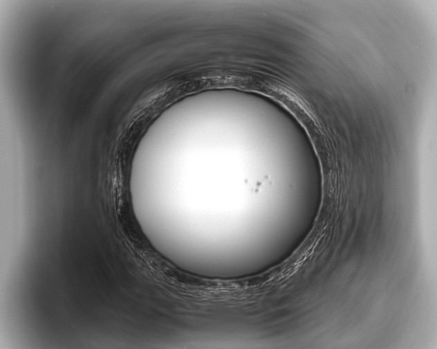 X0000096671111200802051004