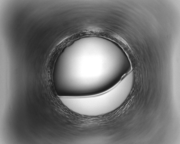 X0000096671112200802051004