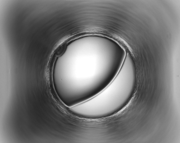 X0000096671114200802051004