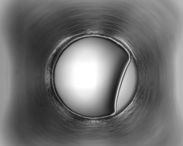 X0000096671115200802051004