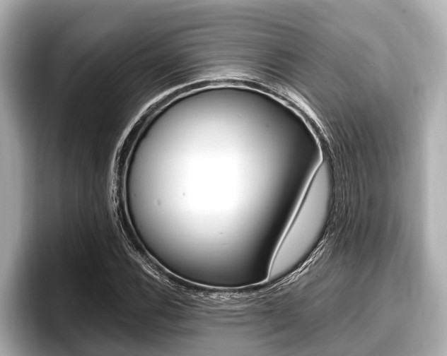 X0000096671116200802051004