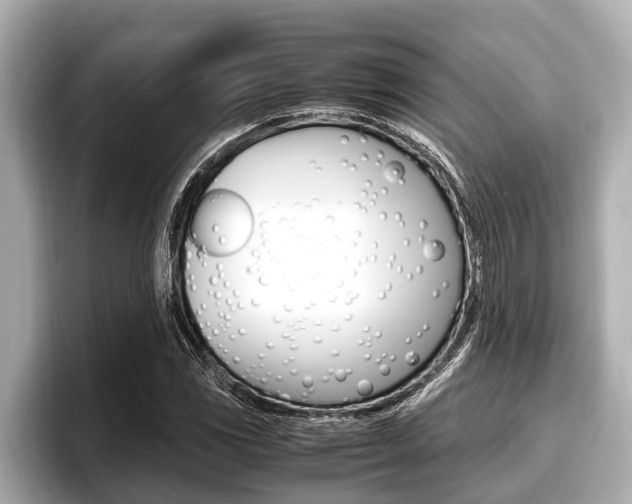 X0000096671117200802051004
