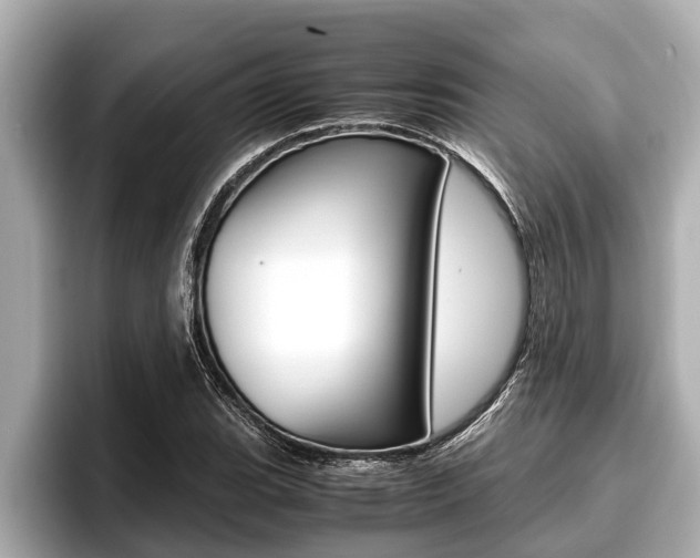 X0000096671119200802051004