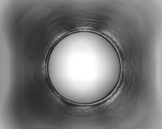 X0000096671121200802051004