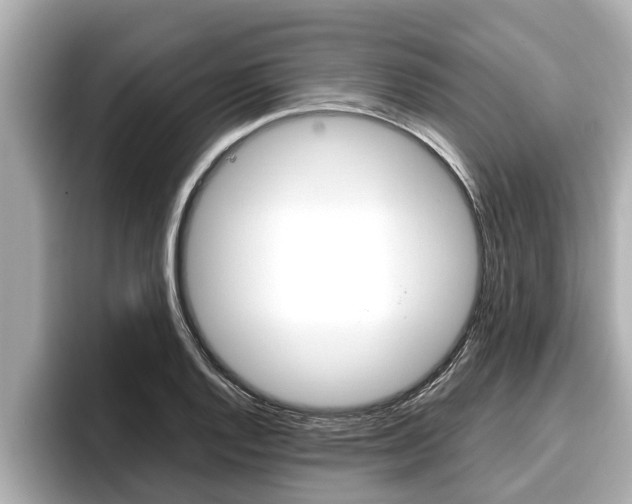 X0000096671128200802051004
