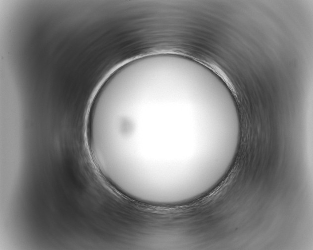 X0000096671132200802051004