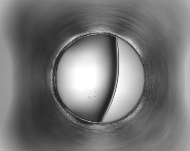 X0000096671134200802051004