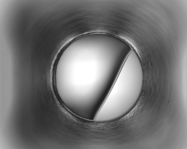 X0000096671135200802051004