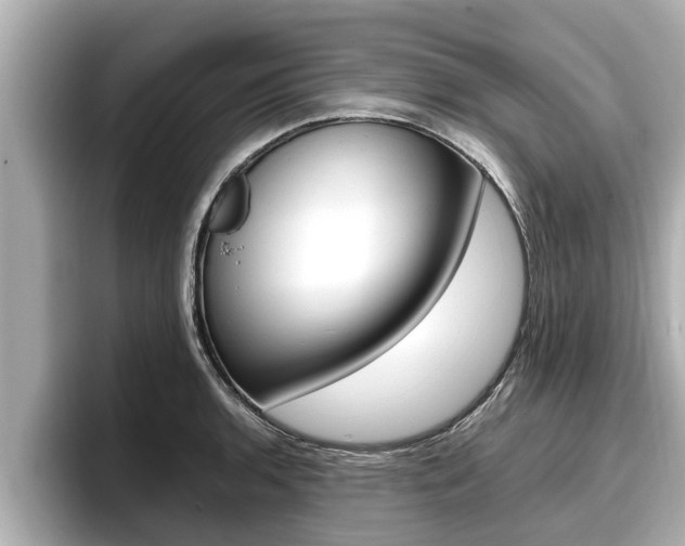 X0000096671136200802051004
