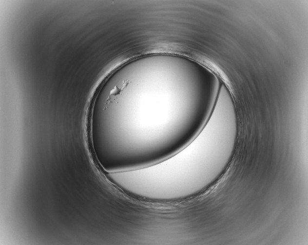 X0000096671138200802051004