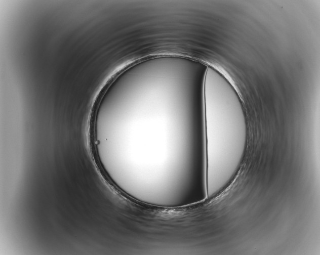 X0000096671139200802051004