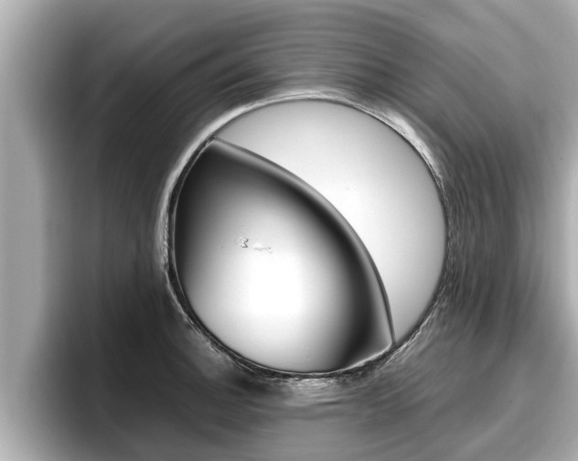 X0000096671140200802051004