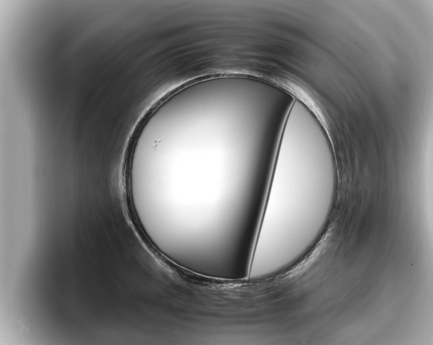 X0000096671141200802051004