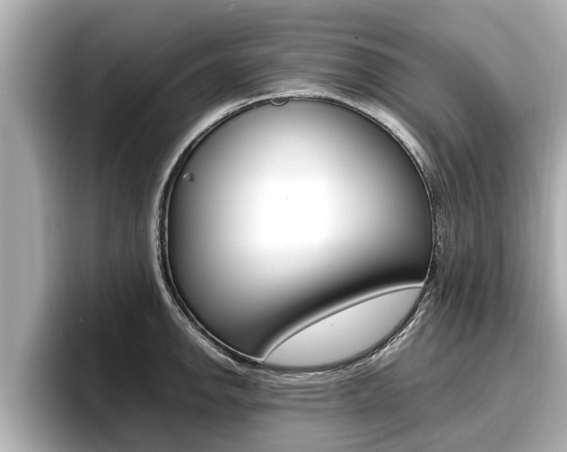 X0000096671142200802051005