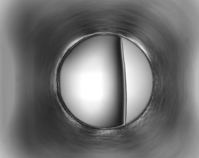 X0000096671143200802051005