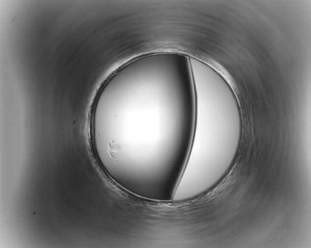 X0000096671144200802051005