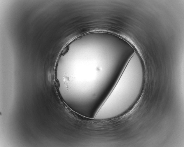 X0000096671145200802051005
