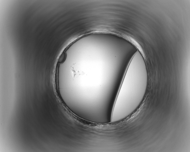 X0000096671146200802051005