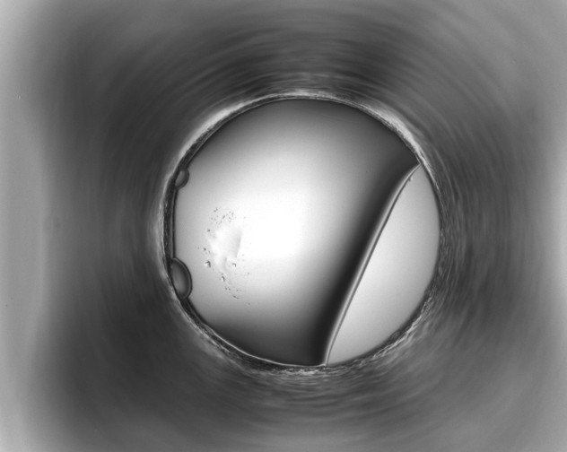 X0000096671147200802051005