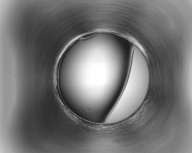 X0000096671148200802051005