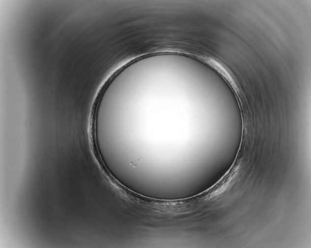 X0000096671149200802051005