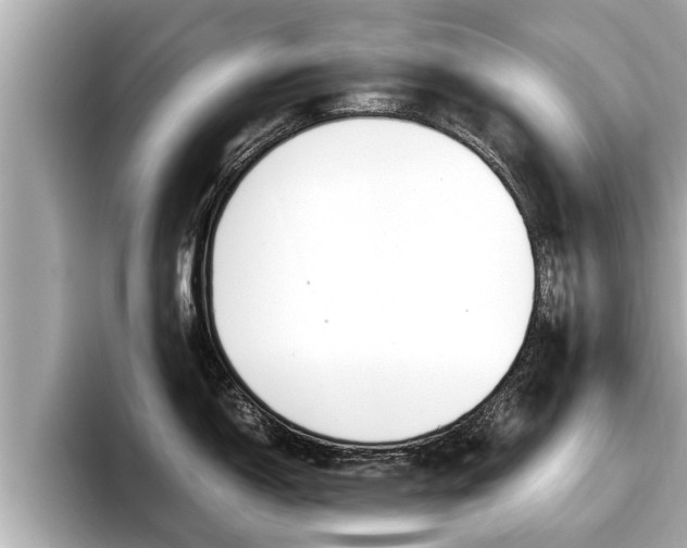 X0000096671150200802051005