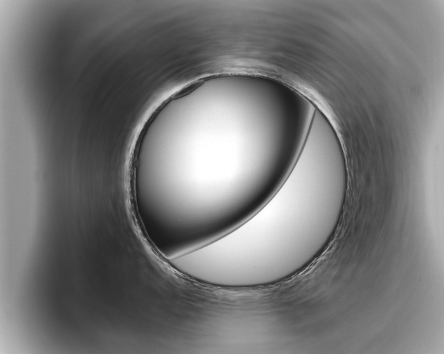 X0000096671152200802051005
