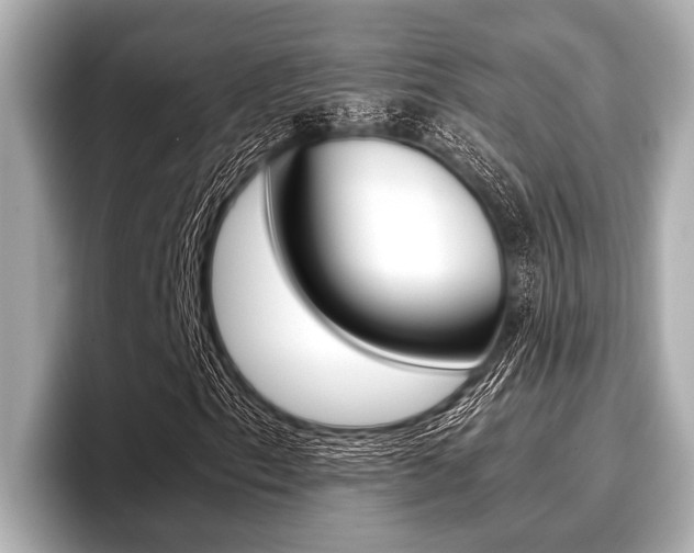X0000096671153200802051004