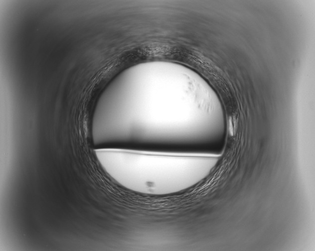 X0000096671155200802051004