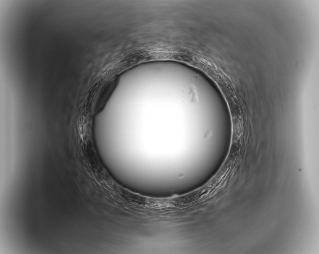 X0000096671157200802051004