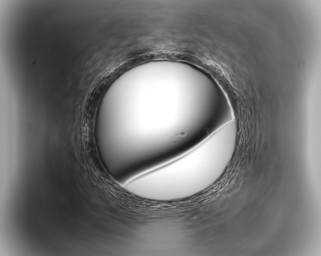 X0000096671159200802051004