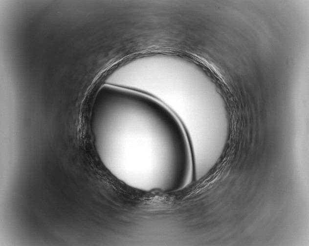X0000096671160200802051004