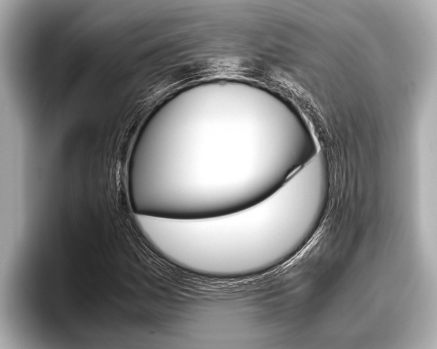 X0000096671161200802051004