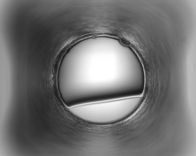 X0000096671163200802051004