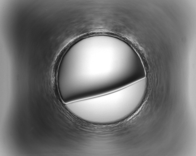 X0000096671167200802051004
