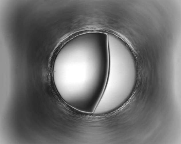 X0000096671168200802051004