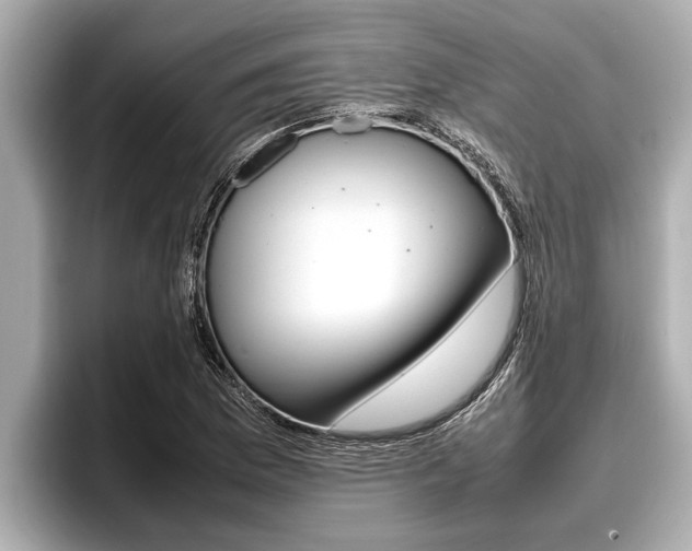 X0000096671169200802051004