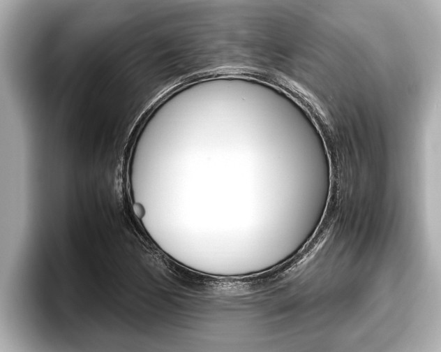 X0000096671170200802051004