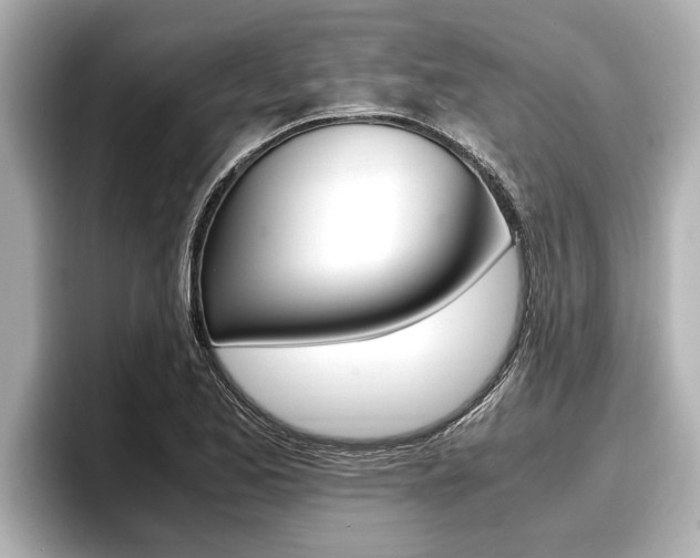 X0000096671173200802051004