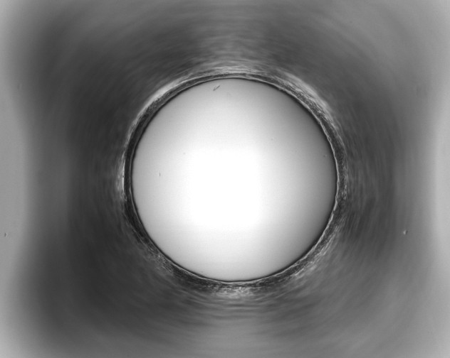 X0000096671174200802051004