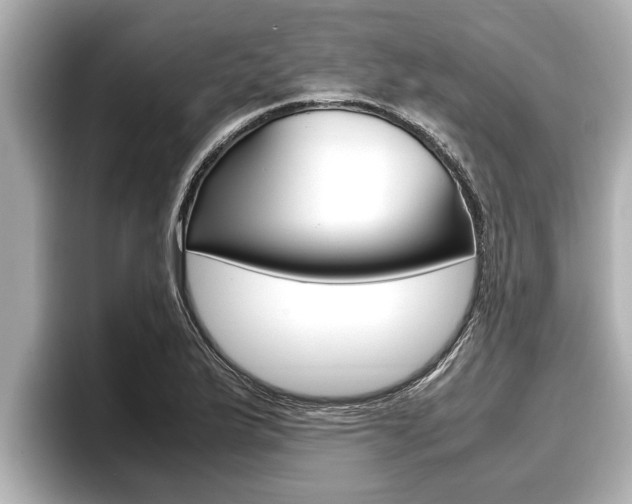 X0000096671175200802051004