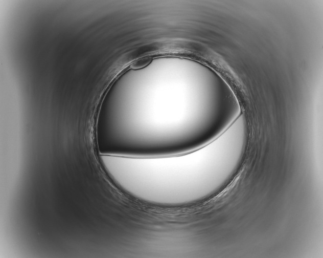 X0000096671177200802051004