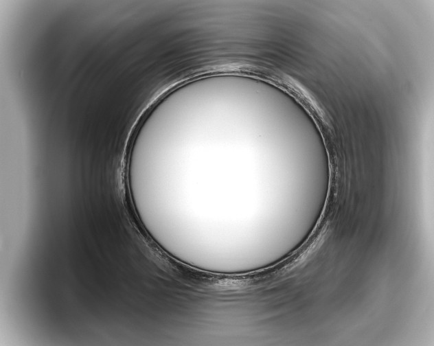 X0000096671178200802051004