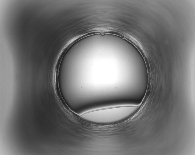 X0000096671179200802051004